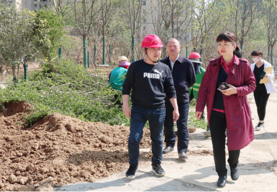 图片4.png 图片4.png